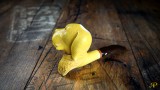 The Hound Meerschaum Pipe